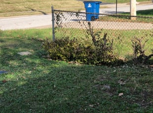 Bush Trimming by Brandon ABRAM for Sevren B. in Shawnee, KS