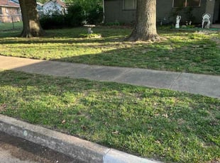 Justin N.'s Lawn Care service result