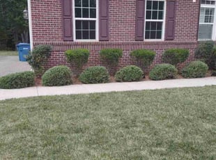 donnell k.'s Lawn Care service result