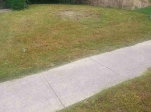 Cleanups by Kenneth Dunn for Jeffrey G. in Fort Worth, TX