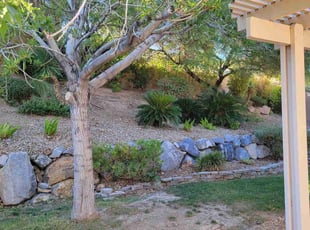 Cleanups by Leland Floyd for Donna B. in Las Vegas, NV
