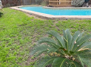 Bush Trimming by Richard Ruscher for Ulmont N. in San Antonio, TX