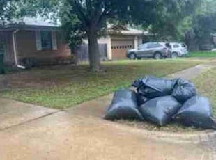 Leaf Removal by John Potter for Chris W. in Garland, TX