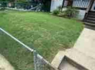 Alejandra C.'s Lawn Service service result