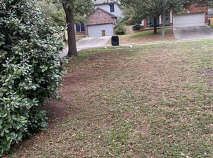 Leaf Removal by Rosa Reyes for Sally S. in Austin, TX
