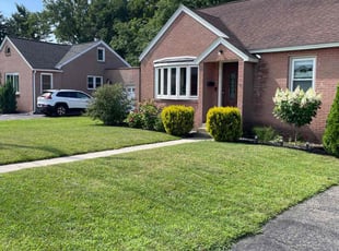 Danae J.'s Grass Cutting service result