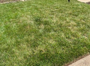 Weeding by Alesandre Duarte for Emmett W. in Sterling, VA