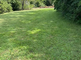 Kevin Q.'s Lawn Care service result