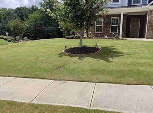 Nina C.'s Grass Cutting service result