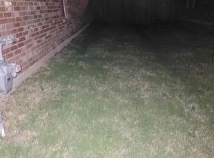 Weeding by Wesley Sprabary for Austen M. in Krum, TX