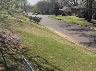 Leaf Removal by Eric Azcona for Kaci W. in Birmingham, AL