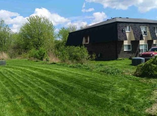 Cindy D.'s Lawn Mowing Service service result