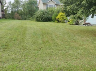 Audrina B.'s Yard Cutting service result