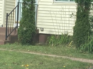Bush Trimming by Kevin Chapman for Faye D. in Bloomfield, CT