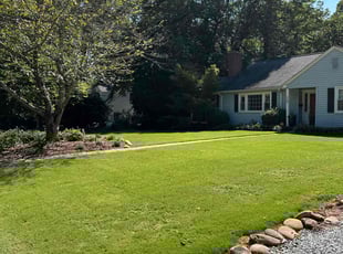 Clara M.'s Lawn Mowing service result