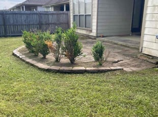 Bush Trimming by Sheba Kelly for Nicholas C. in Baton Rouge, LA