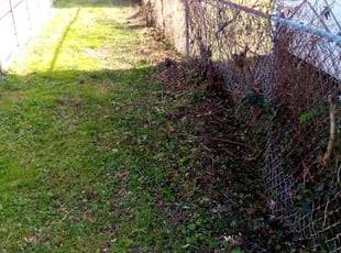 Cleanups by Arthur Haskins for Sarah m. in Richmond, VA