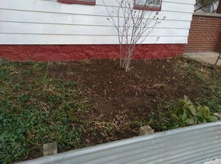 Weeding by Jacob Jumper for Marcus S. in Grand Rapids, MI