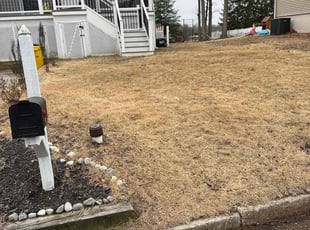 Leaf Removal by Pedro Benitez Amaya for Hazel C. in Pasadena, MD