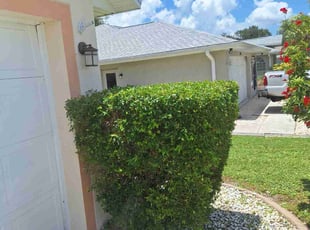 Diane M.'s Bush Trimming service result