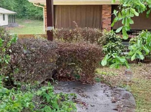 Bush Trimming by Darius Baugh for Eric F. in Atlanta, GA