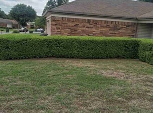 Bush Trimming by Kalin Morken for Valerie S. in Fort Worth, TX