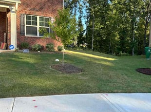 Mario C.'s Lawn Mowing Service service result