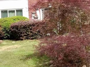 Bush Trimming by Lionel Lee for Shaliesa H. in Stone Mountain, GA