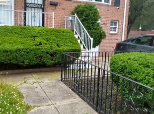 Bush Trimming by William Perdigon for Dwayne K. in Philadelphia, PA