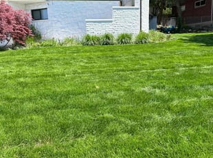 Deanna T.'s Lawn Service service result