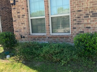 Bush Trimming by Christopher Gillespie for Arri W. in DeSoto, TX