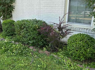 Brian S.'s Bush Trimming service result