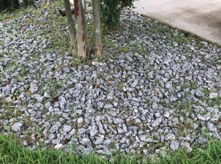 Landscaping by Richard Barkley for Carlos D. in Jacksonville, FL