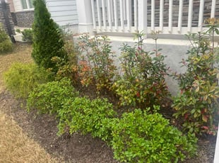 Weeding by Travis Garrett for Meghana G. in Atlanta, GA