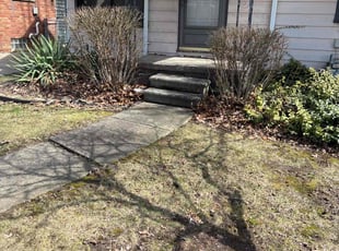 Bush Trimming by Edward Shubert for Leslee S. in Dearborn, MI