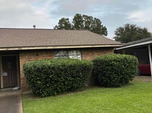 Bush Trimming by Juan Mezomo for Kim I. in Houston, TX