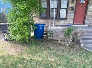 Bush Trimming by Lacy Dixon for Samantha C. in San Antonio, TX