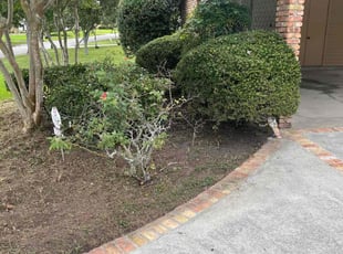 Cleanups by Andre Mouton for Shamica L. in Lafayette, LA