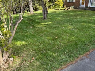 Steven R.'s Lawn Service service result