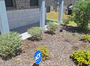 Bush Trimming by Furman Dodd for Raven S. in Mesquite, TX