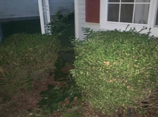 Bush Trimming by Zachary Sizemore for Angela J. in Canal Winchester, OH