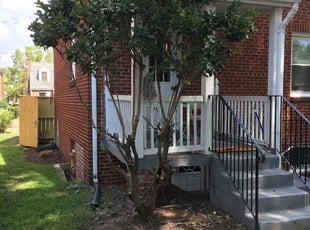 Bush Trimming by Norman Blanchard for Daro E. in Washington, DC