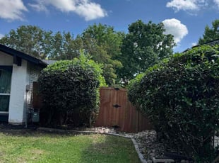 Bush Trimming by Maria Hernandez for Jordan P. in Dallas, TX