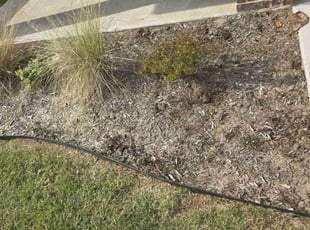 Weeding by Patrick Flanagan for Mark E. in Greenville, TX