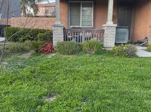 Bush Trimming by Vincent Angelo Consiglio for Cheryl R. in Corona, CA