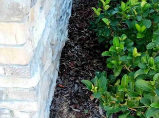 Weeding by James Stuckey for Tracey J. in Orlando, FL