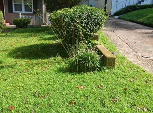 Cecelia C.'s Bush Trimming service result
