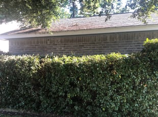 Bush Trimming by James ODonnell for Tamika L. in Humble, TX