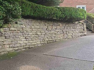 Dorothy E.'s Bush Trimming service result