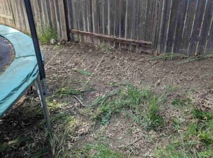 Leaf Removal by Steven Werry for Chrisdy W. in Antelope, CA
